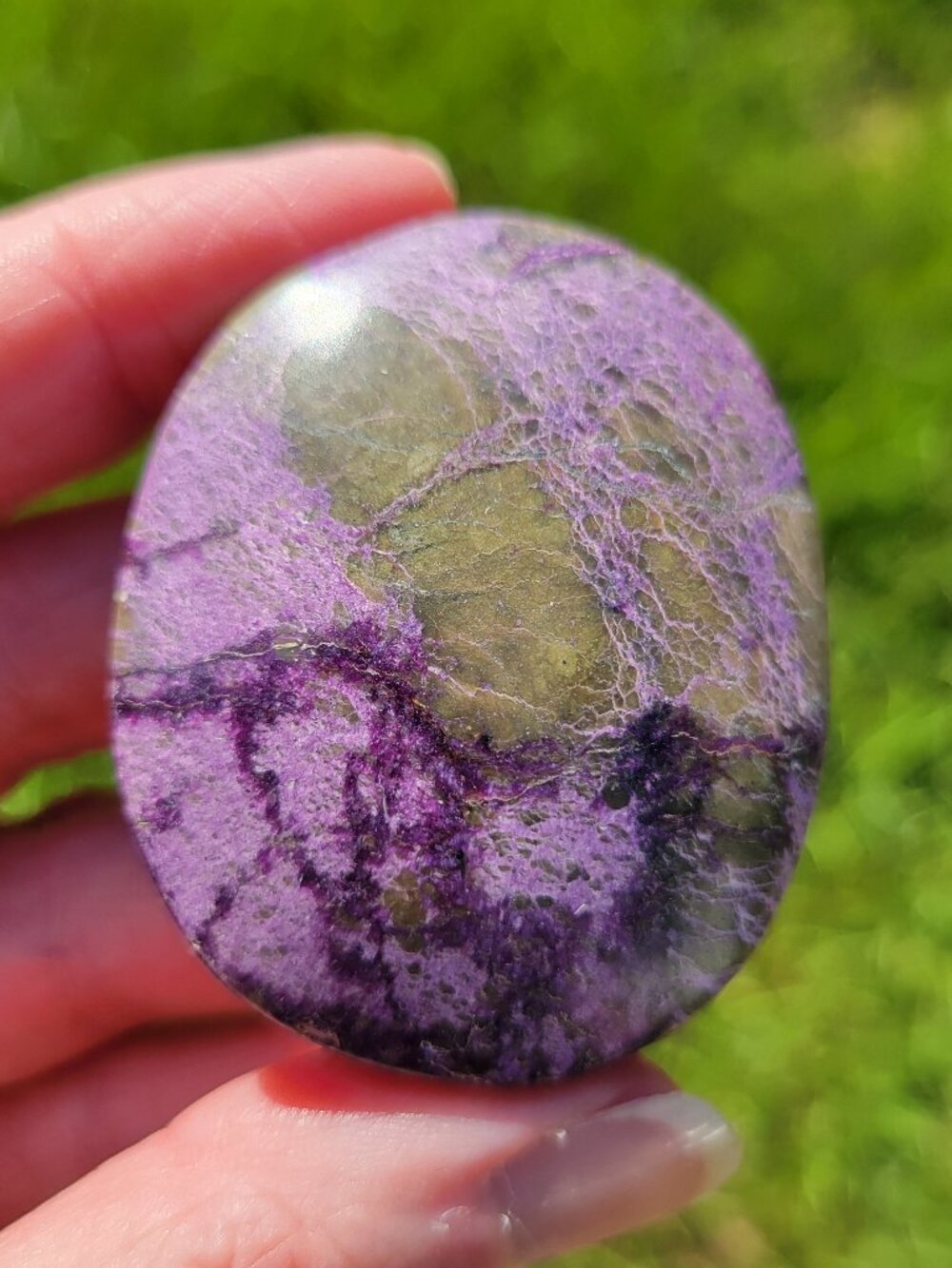 Atlantisite Palm Stone (A301)